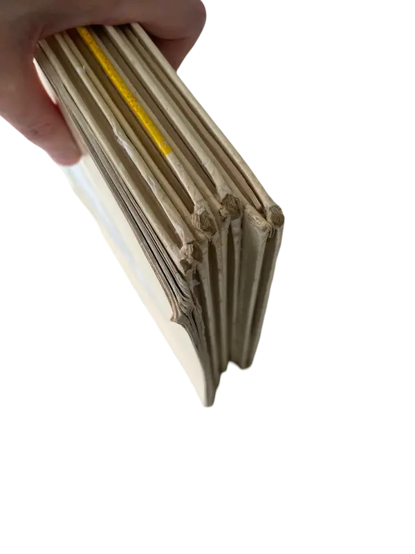 1749833444 (7).webp