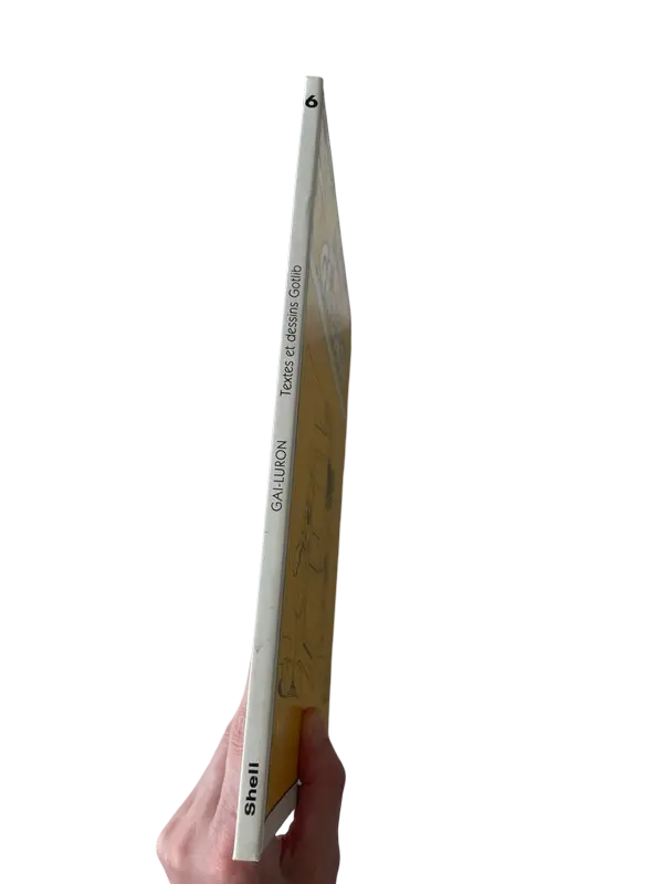 1749912807 (2).webp