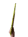 1749913976 (2).webp