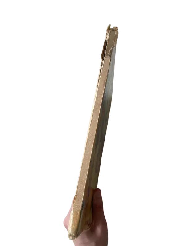 1749916624 (2).webp