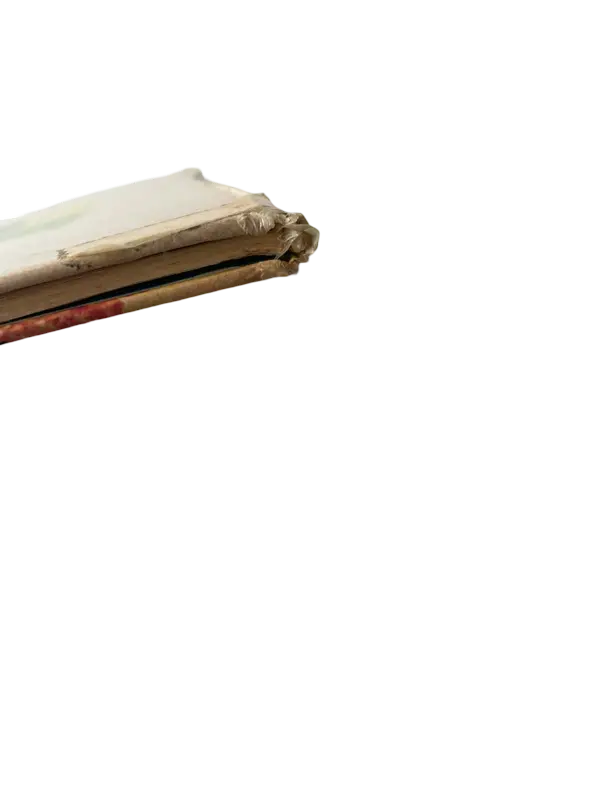 1749916624 (3).webp