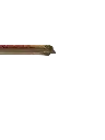 1749916624 (4).webp